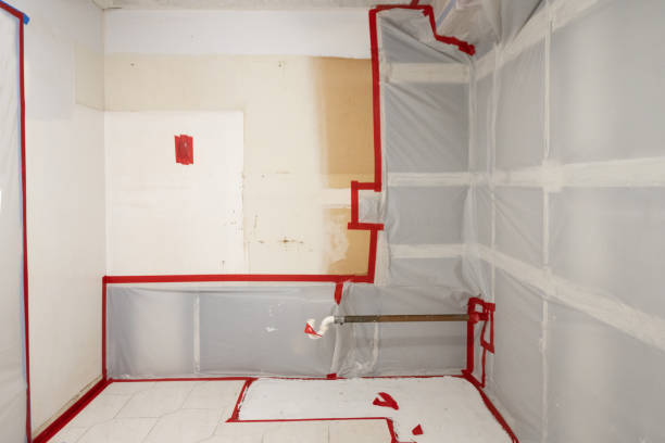 Mold Odor Removal Services in Kitty Hawk, NC