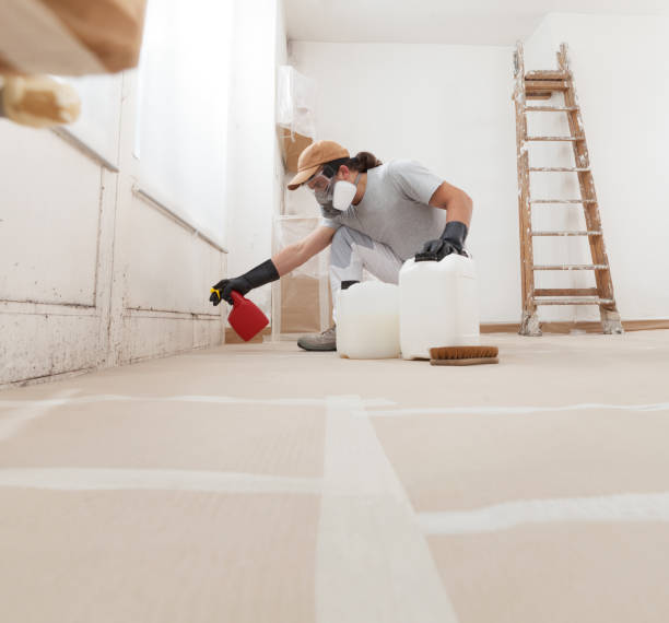 Trusted Kitty Hawk, NC Mold Removal Experts